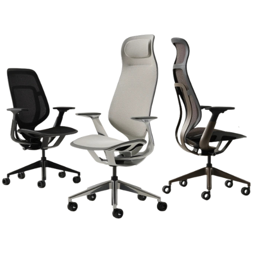 Ergonomic Chairs
